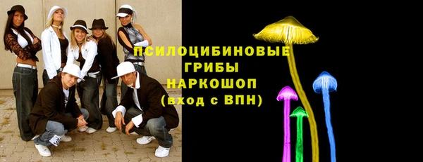 трава Белокуриха
